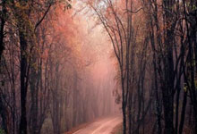 一竞技：欧国联-卢卡库破门难救主 乌克兰3-1逆转比利时央视网.