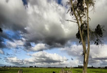 一竞技：渭南市羽毛球协会第三届一次会员大会顺利召开.