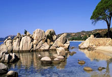 一竞技：[德甲]不来梅主场战平莱比锡.